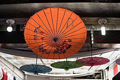 《水下机器人：潜水大发现》登陆Steam抢先体验